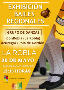 Bailes Regionales